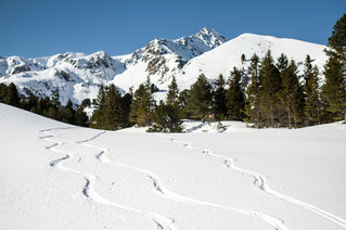 Skigebiete von Klarampfhof Günter Wolfinger